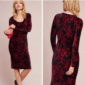 Anthropologie HD in Paris Floral Velvet Dress